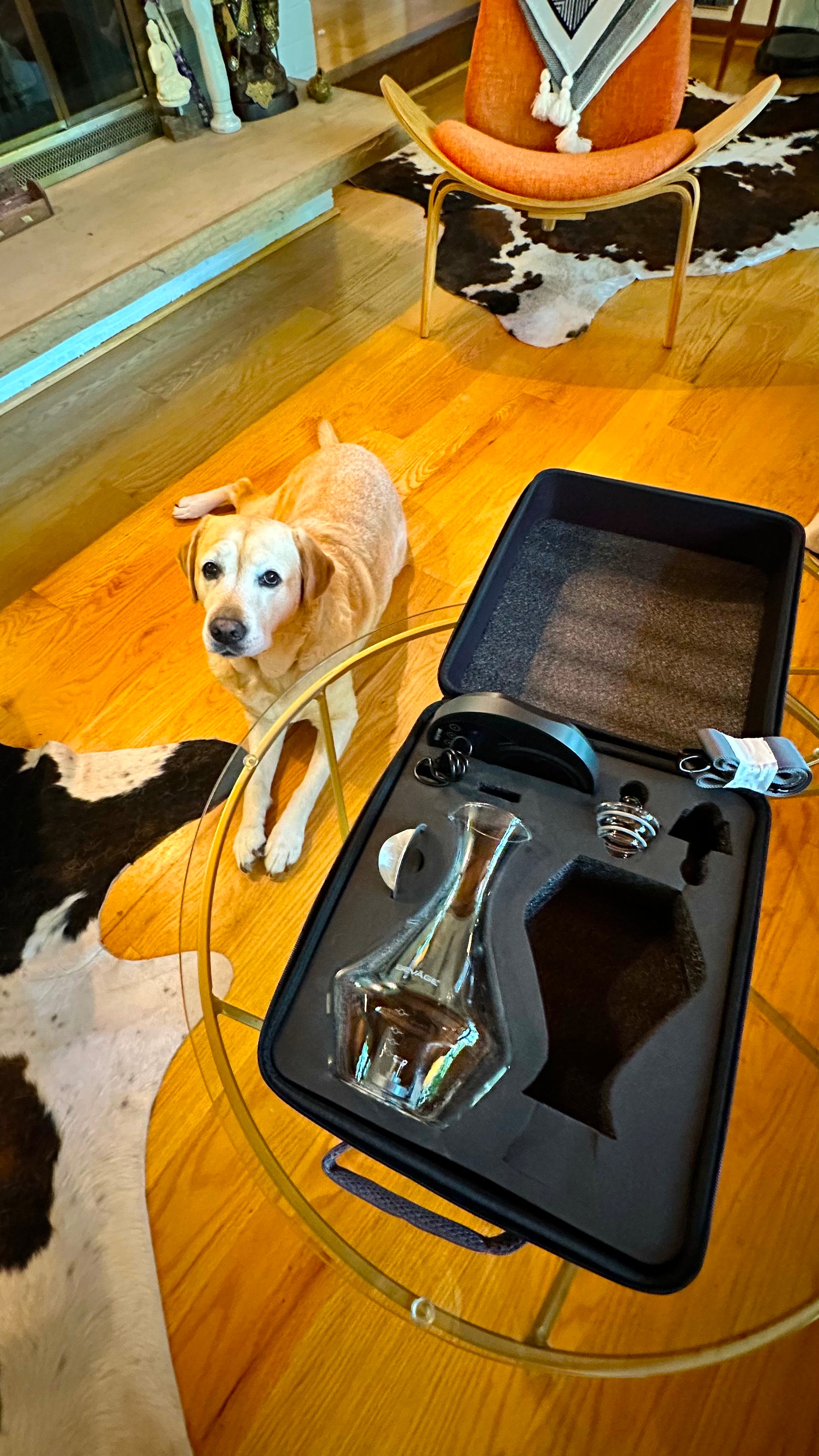 Bevage Pro Carrying Case